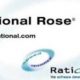 IBM Rational Rose Enterprise
