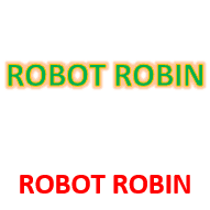 ROBOT ROBIN