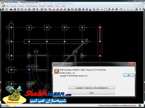 رم استراکچرال سیستم - RAM Structural System 