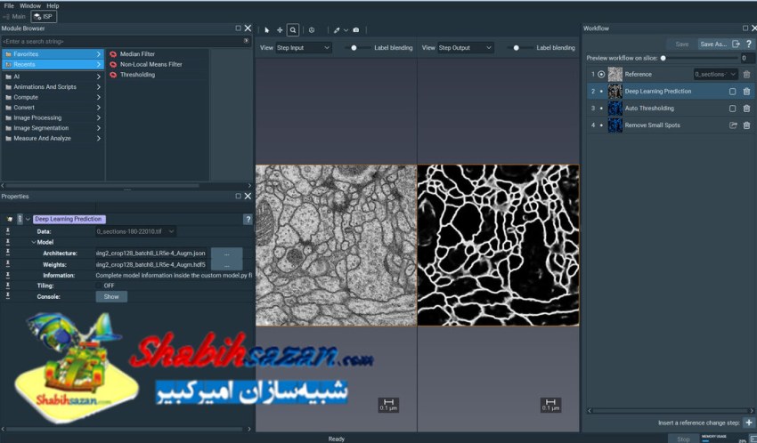 ترمو ساینتیفیک آمیرا / آویزو - AMIRA / AVIZO 3D