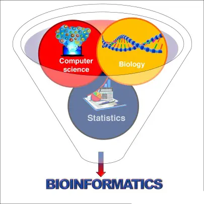 ابررایانه ها در بیوانفورماتیک و کشف دارو