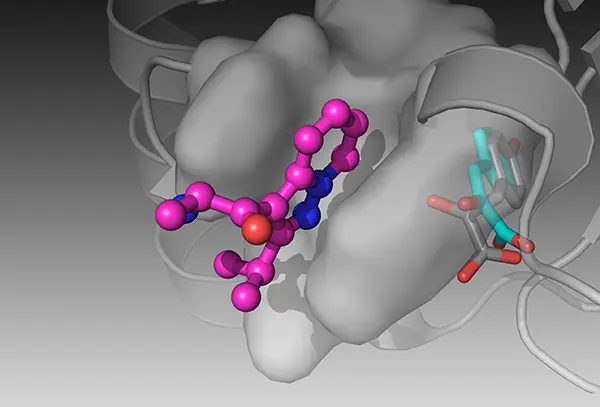 نقش ابررایانه ها در بیوانفورماتیک و کشف دارو